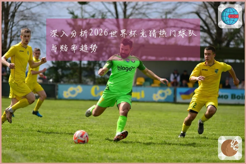 深入分析2026世界杯竞猜热门球队与赔率趋势