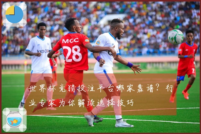 世界杯竞猜投注平台哪家靠谱？行业专家为你解读选择技巧