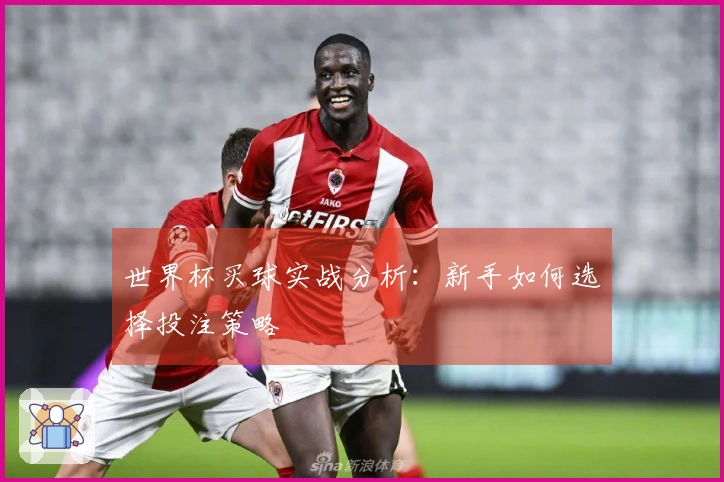 世界杯买球实战分析：新手如何选择投注策略